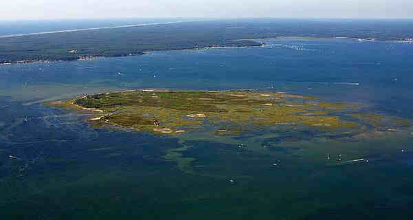 L'&icirc;le aux Oiseaux bassin d'Arcachon