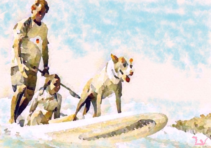 Family surfing by Laura Voolu