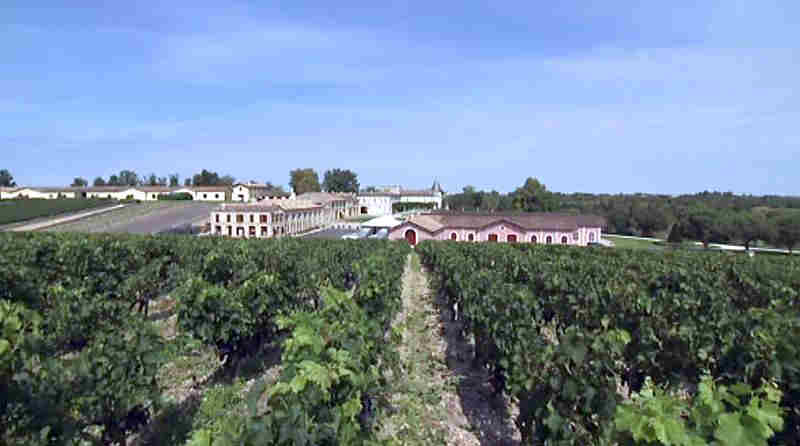 Vignoble de Chateau Lafite Rothschild