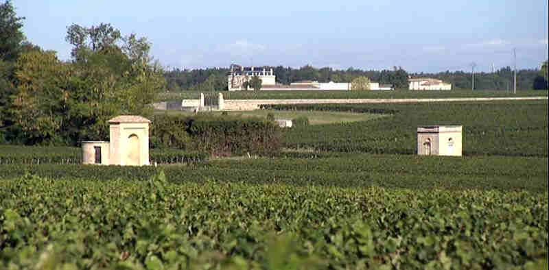 Vignoble de Ch&acirc;teau Margaux