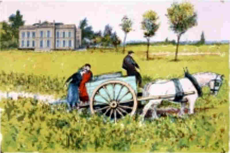 Chateau Gruaud Larose   by  Charles Mozley