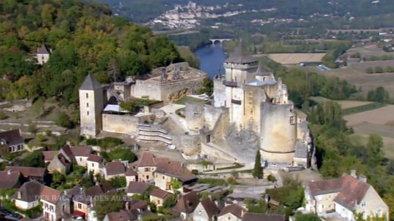 chateau de Castelnau