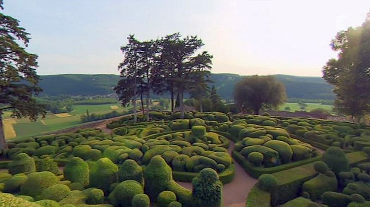 Buis du ch&acirc;teau de Marqueyssac