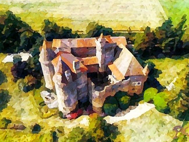 Chateau de Lespinasse par Dan Kopel