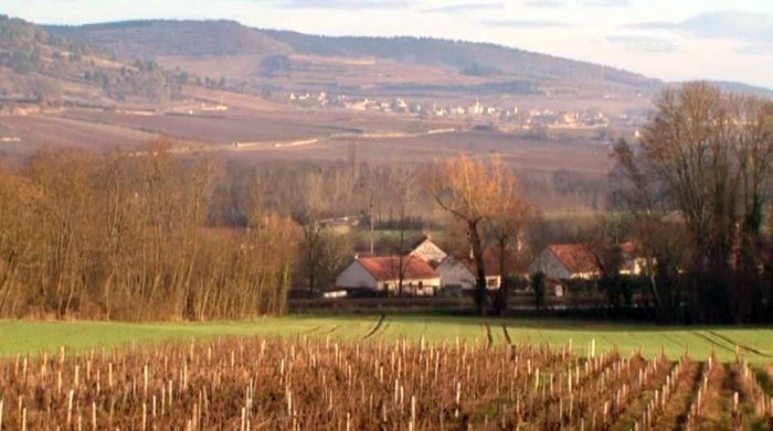 Vignoble de Beaune