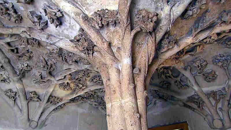 Arbre de la  vo&ucirc;te de la tour du palais  des ducs  de Bourgogne &agrave; Dijon