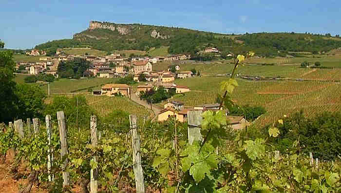 Le vignoble de Bourgogne &agrave; Solutr&eacute;-Pouilly