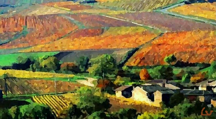 Vignoble du Beaujolais  par Laura Voolu
