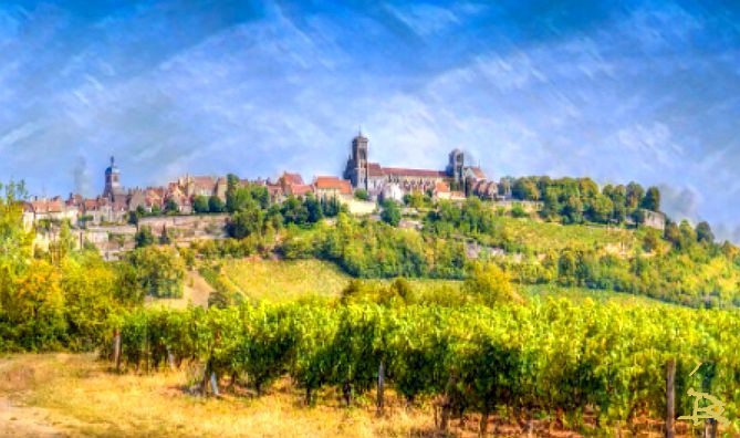 Vignoble de V&eacute;zelay par Dan Kopel