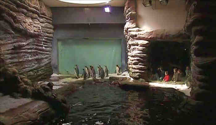 Oc&eacute;anopolis Brest