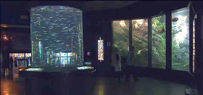 Oc&eacute;anopolis Brest