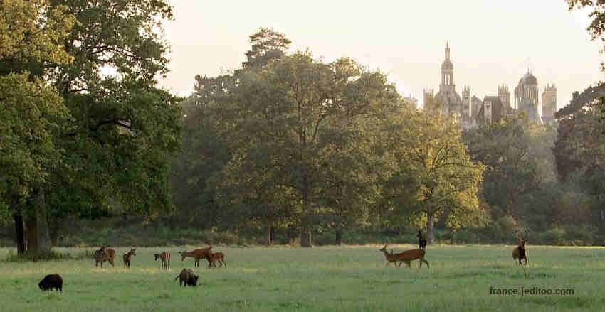 Ch&acirc;teau de Chambord