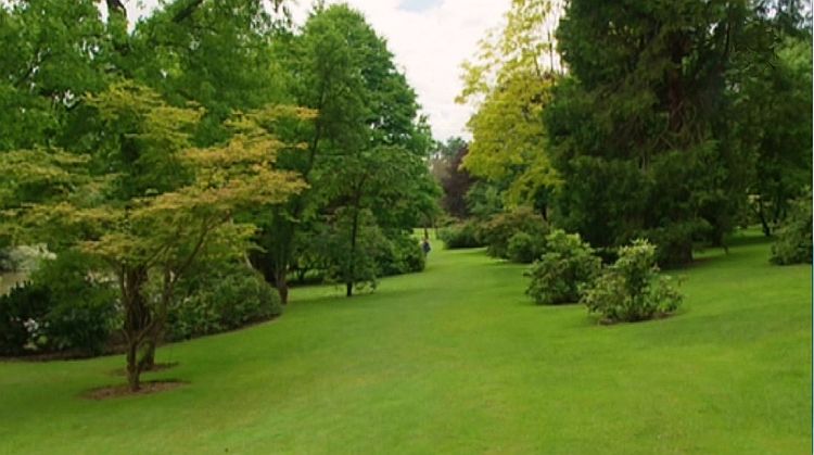 Parc d'Apremont sur Allier