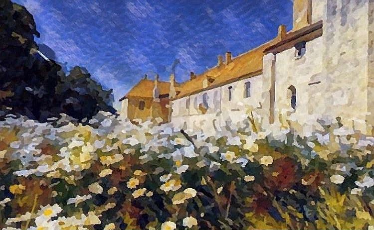 Noirlac abbey in bloom by Dan Kopel