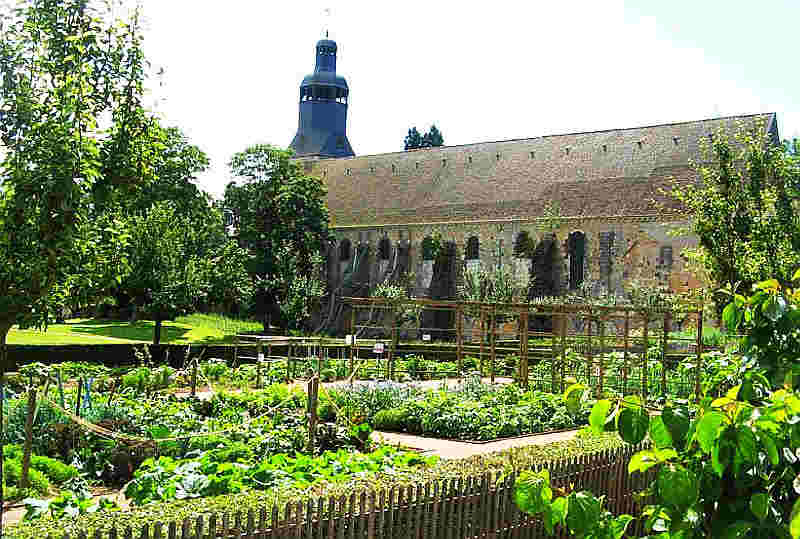 Jardins abbaye de Thiron-Gardais