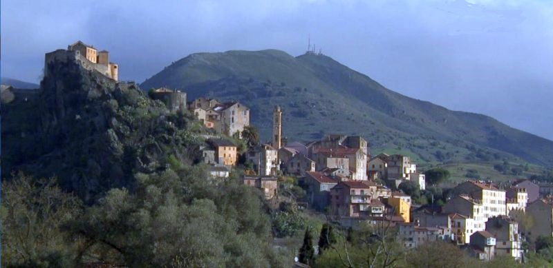 Cort&eacute;