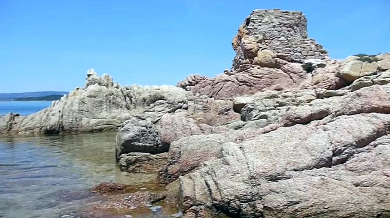 La t&ecirc;te de tortue &agrave; Porticcio