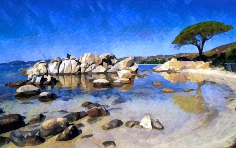 Le pin parasol &agrave; POrto Vecchio  par Dan Kopel