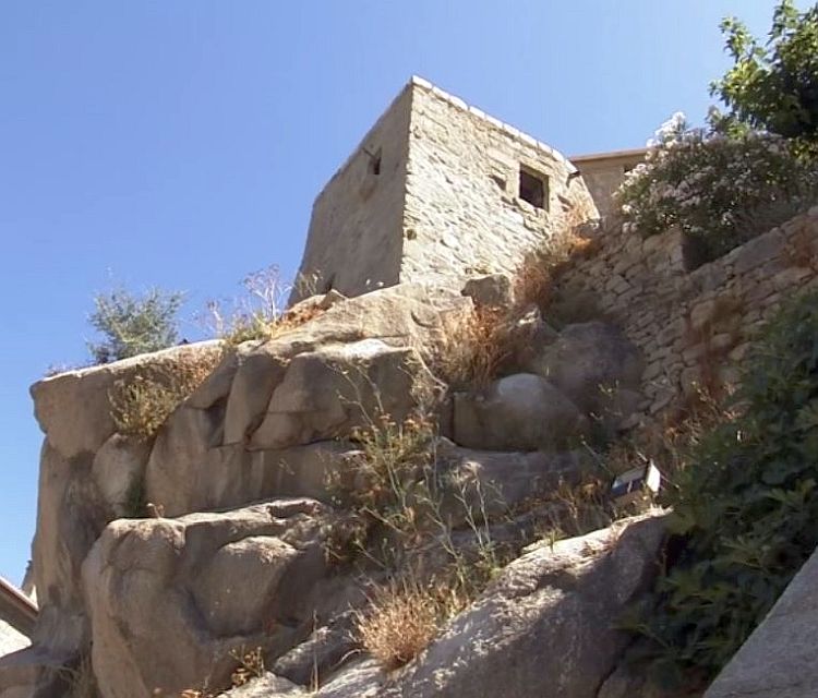 Sart&egrave;ne