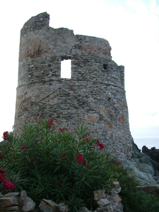 Tour de la Punta Mortella &agrave; Saint-Florent 