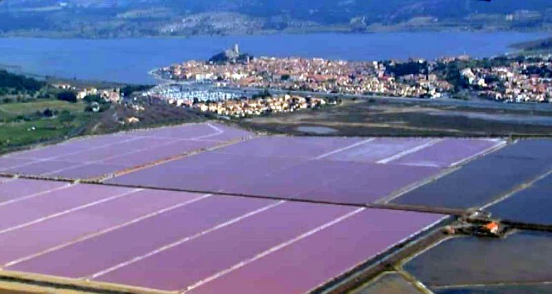 Marais salants de Gruissan
