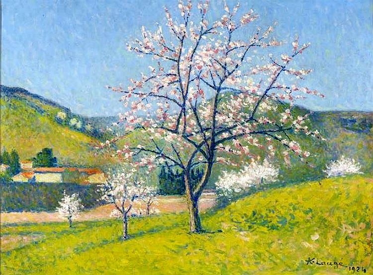 Arbres en fleurs &agrave; Alet-les-Bains par  Achille Laug&eacute;