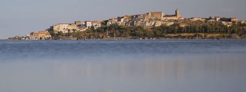 Bages