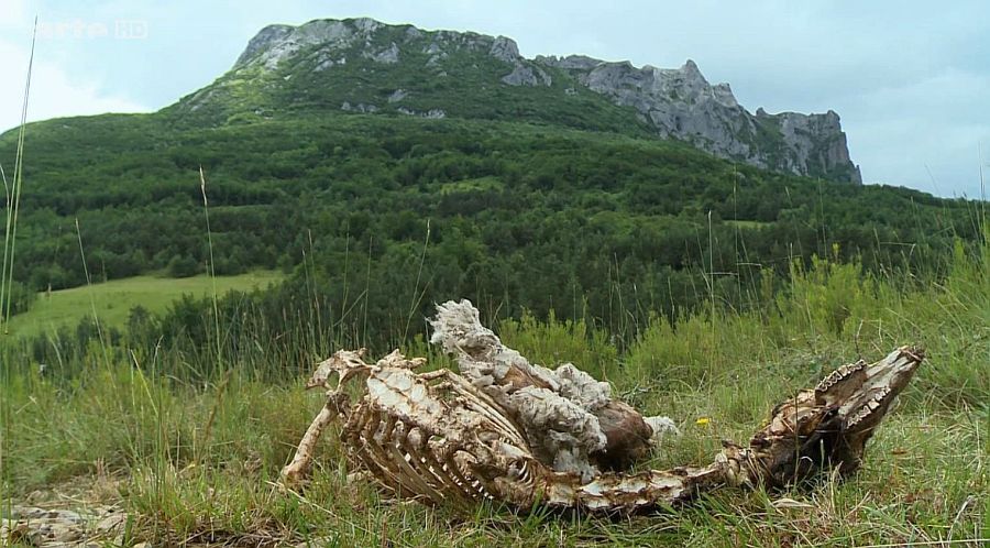 une  victime de la  fin  du monde &agrave; Bugarach