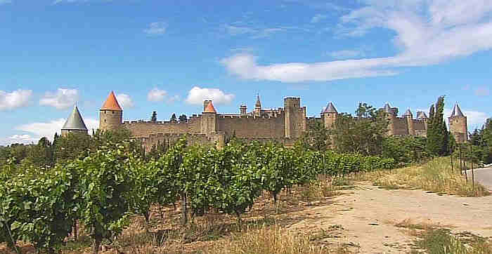 La  vigne au pied des remparts de Carcassonne