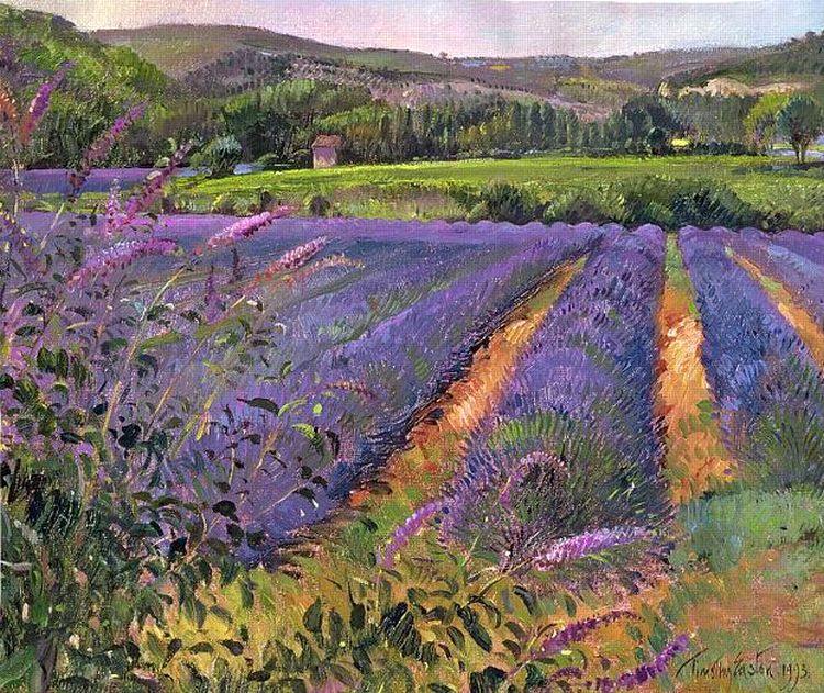 Le Clarou &agrave; Valleraugue par Luc Didier