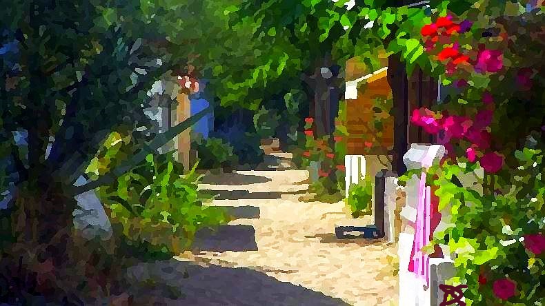 Ombres et lumiere au Racou, &agrave; Arfel&egrave;s par Dan Kopel