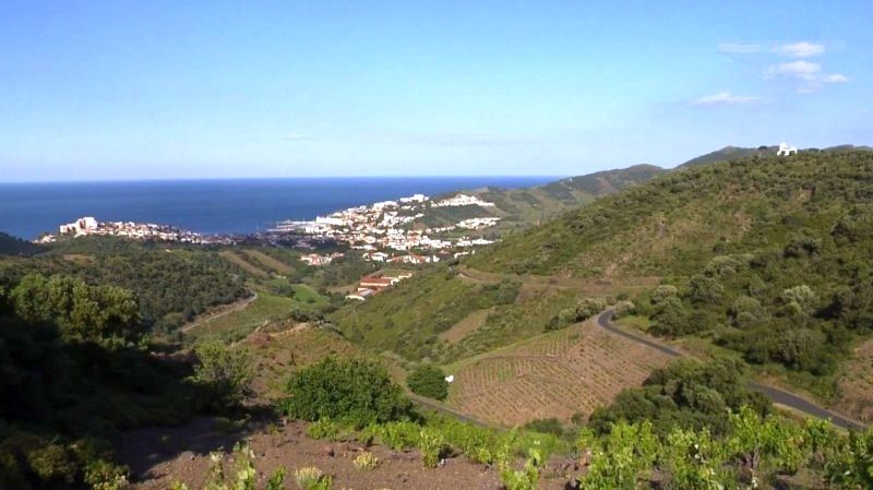 Banyuls
