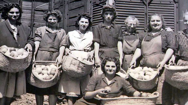 Les transbordeuses d'oranges &agrave;  Cerb&egrave;re