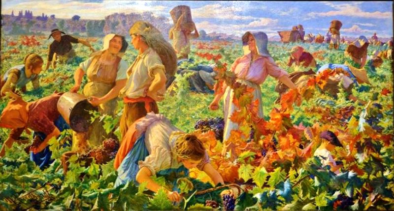 Vendanges en Languedoc par Max Leenahrdt