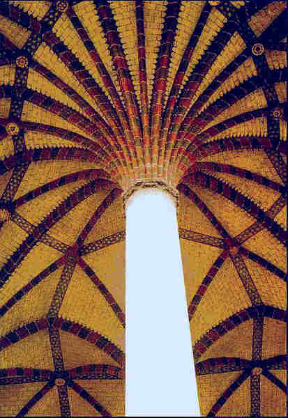 le grand palmier des  Jacobins de Toulouse