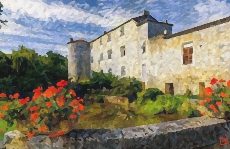 Ch&acirc;teau de Fourc&egrave;s par Dan Kopel