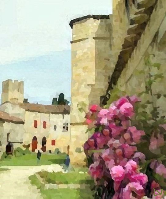 Larrressingle en fleurs par Laura Voolu