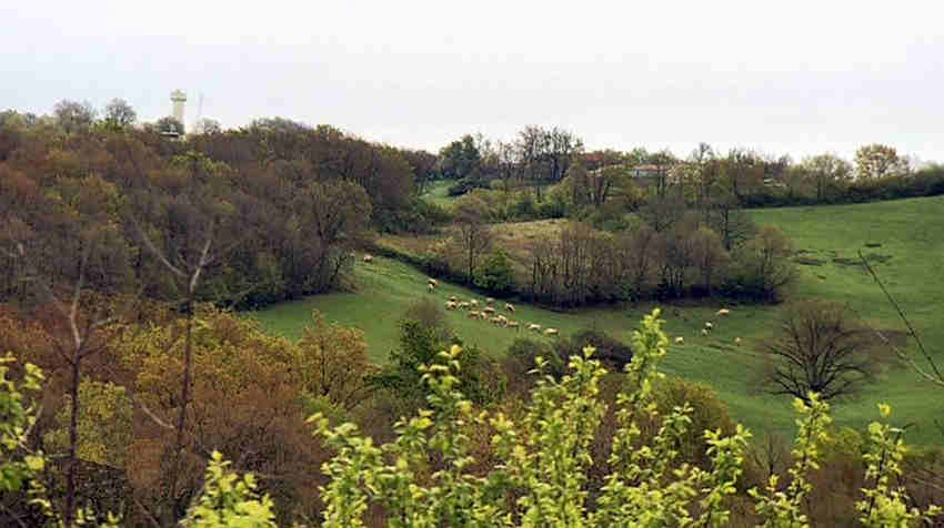 Paysage du Gers