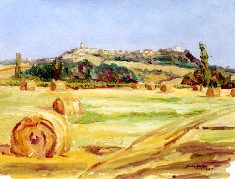 Castelnau de Montmirail by Gordon Frickers