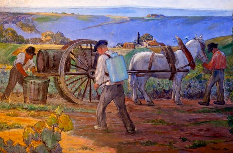 Vignoble de Gaillac par  Louis Cabanes