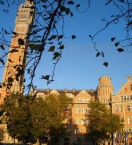 Le beffroi de l'h&ocirc;tel de  ville de Lille