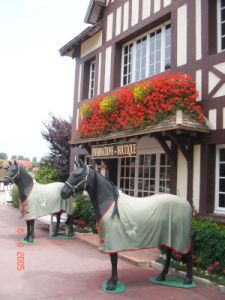 Champ de course de Clairefontaine