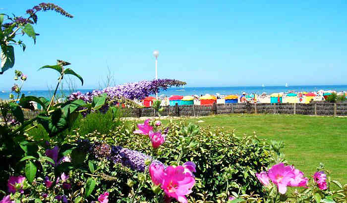 fleurs et parasols Deauville