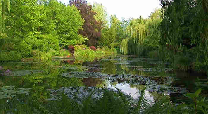 Le jardin d'eau de  Claude Monet &agrave; Giverny