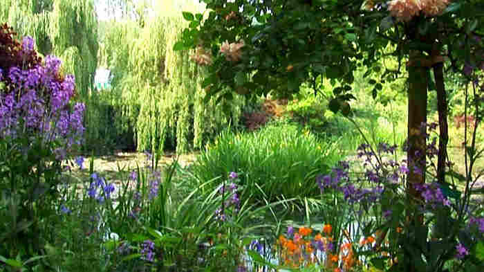 Water garden  of Claude Monet in Giverny