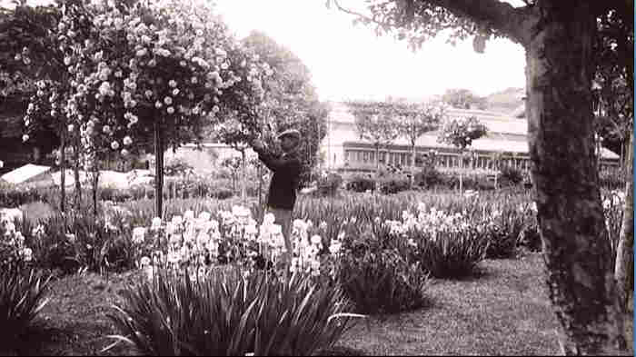 Le jardin de Claude Monet &agrave; Giverny