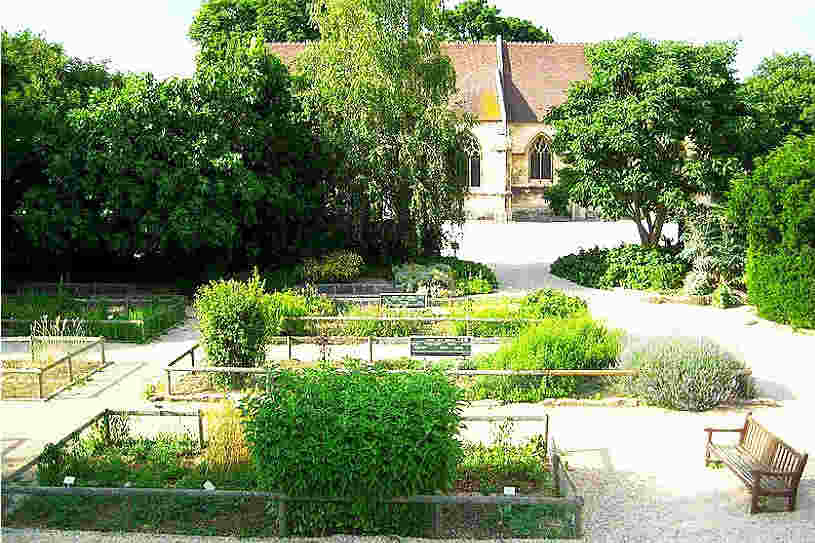 Jardin des simple, Eglise St-Georges &agrave; Caen