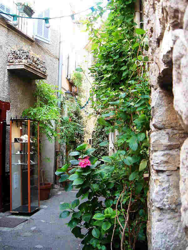 Boutique et  vieilles pierres  vieux Mougins