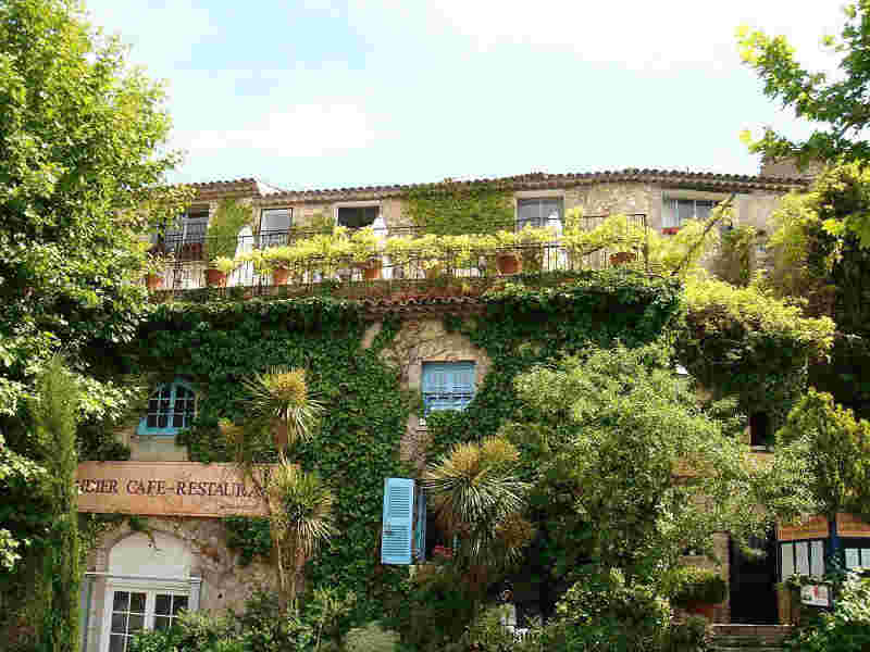 Amandier de Mougins  vieux Mougins