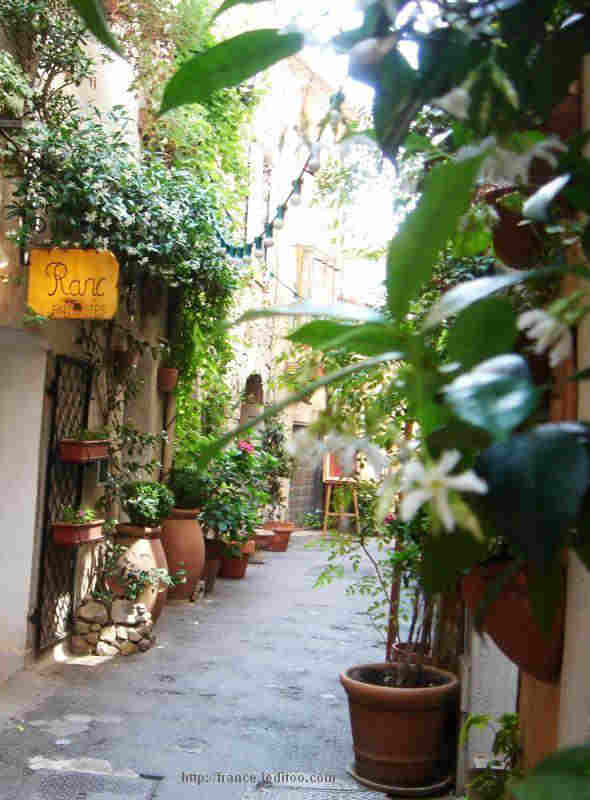 Vieilles  ruelles du  vieux Mougins